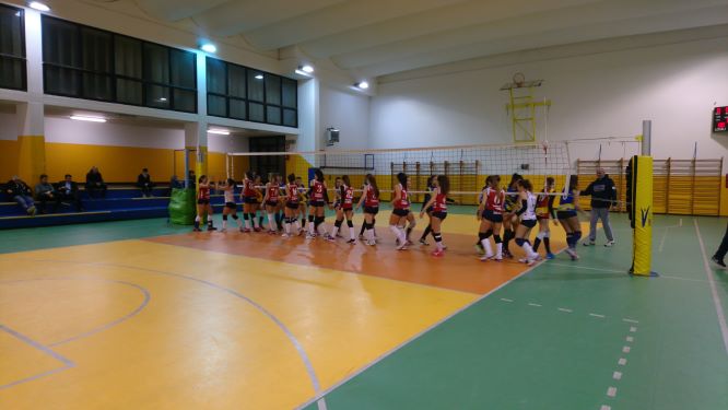 bacciviaccia